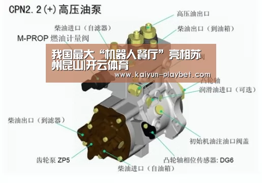 我国最大“机器人餐厅”亮相苏州昆山|开云体育(图2) 开云首页
