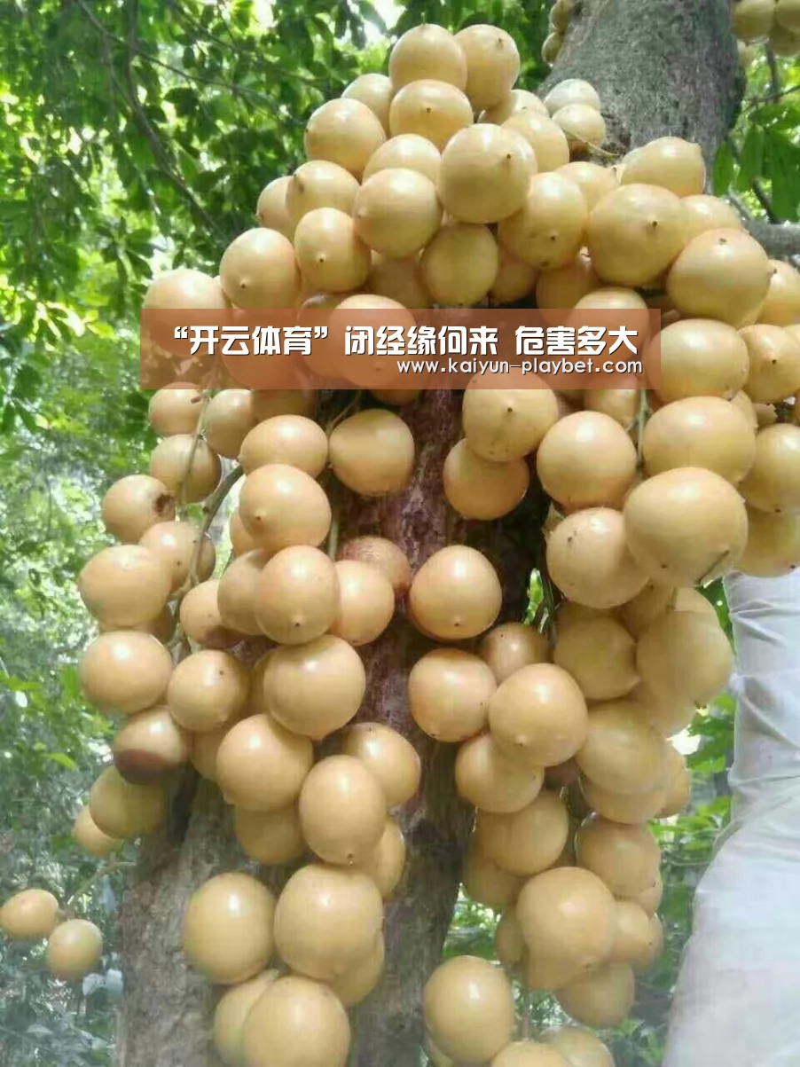 “开云体育”闭经缘何来 危害多大(图1) 开云电竞
