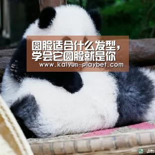 圆脸适合什么发型,学会它圆脸就是你的骄傲【开云首页】(图3) 开云电竞