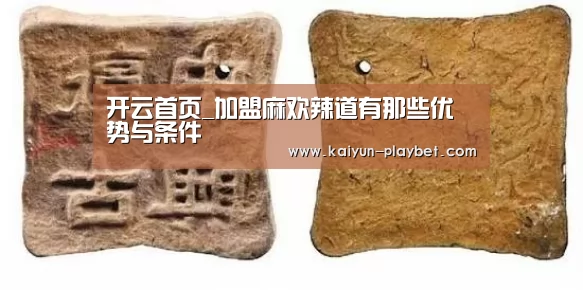 开云电竞