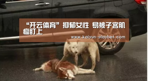 开云体育