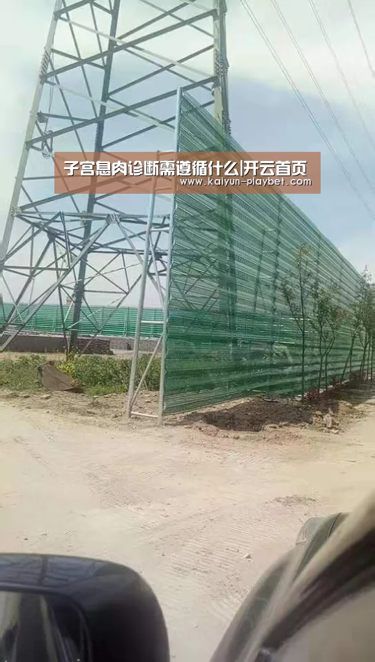 子宫息肉诊断需遵循什么|开云首页(图1) 开云首页