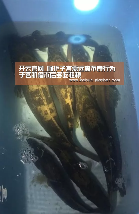 开云官网_呵护子宫需远离不良行为 子宫肌瘤术后多吃粗粮(图2) 开云电竞